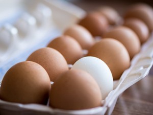 USP verbeeld: wit ei temidden van bruine eieren
